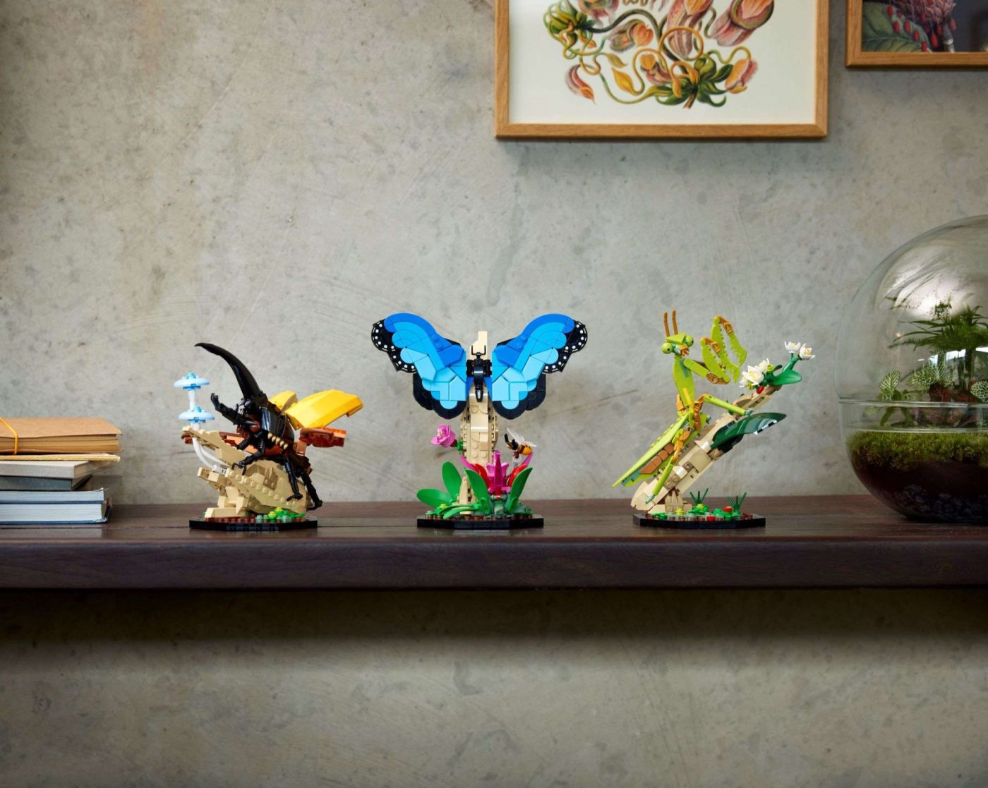 LEGO Ideas Launches 50th Set: "The Insect Collection"